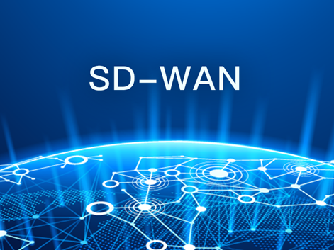 SD-WAN的技术架构