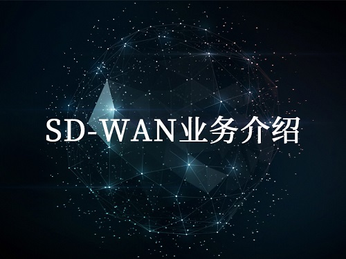 SD-WAN产品介绍